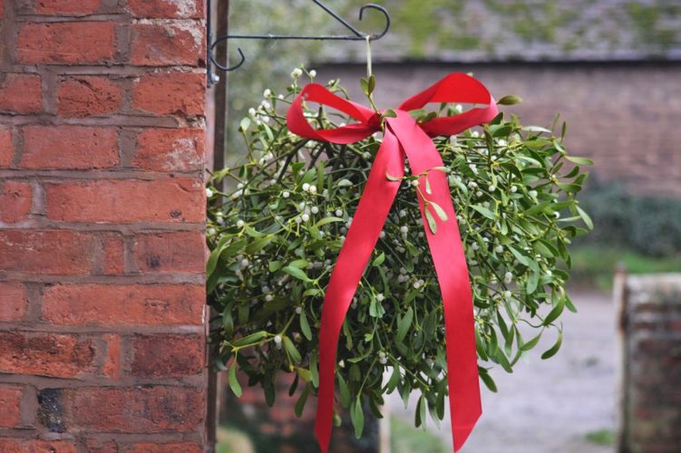 Mistletoe ball