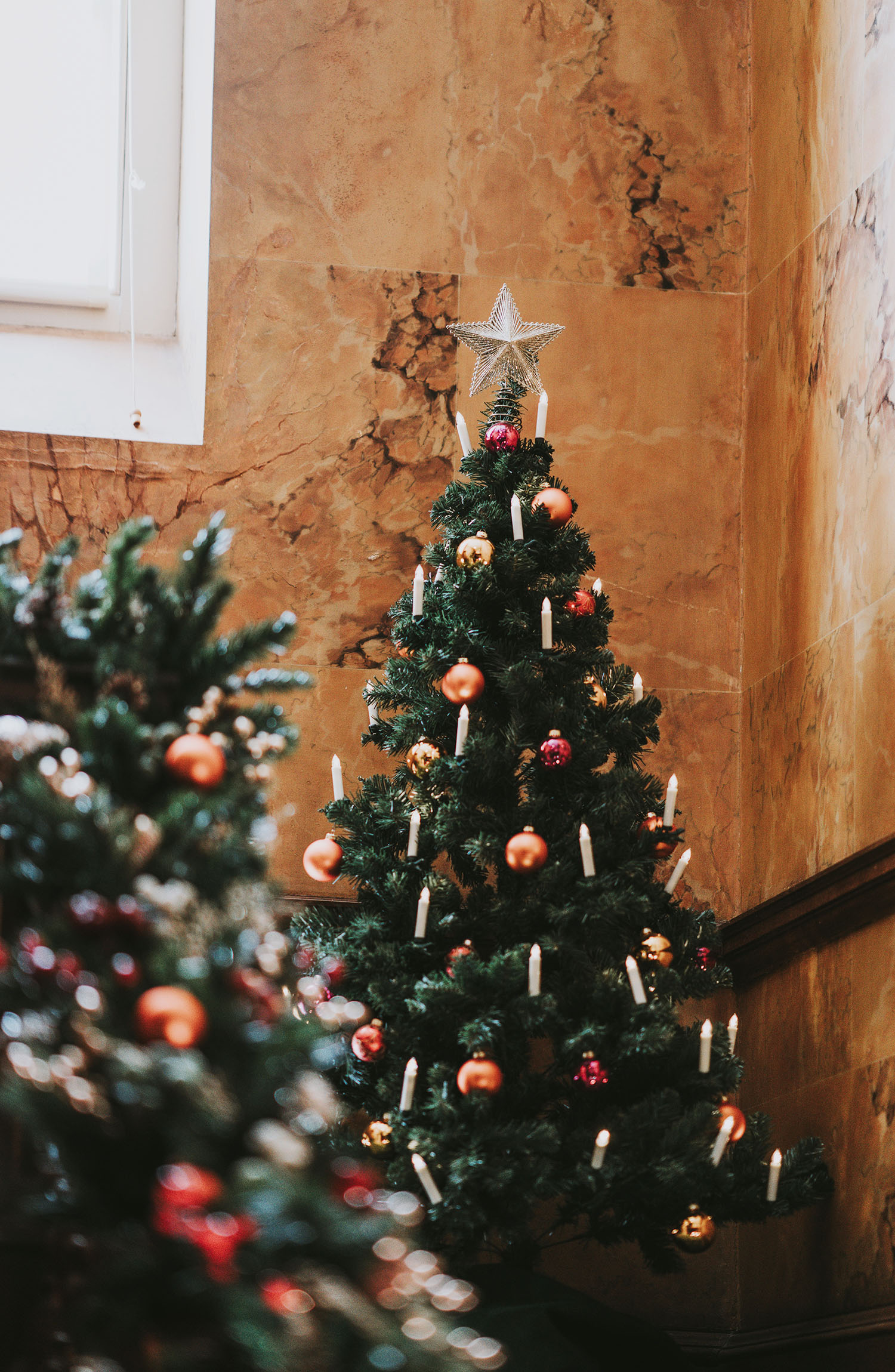 Christmas Tree Symbolism