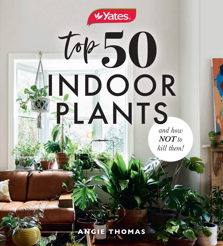 Yates top 50 indoor plants