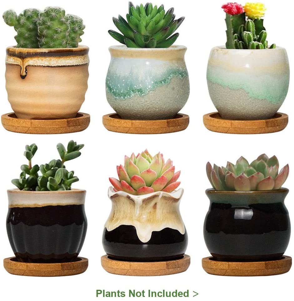 cute succulent ceramic pot
