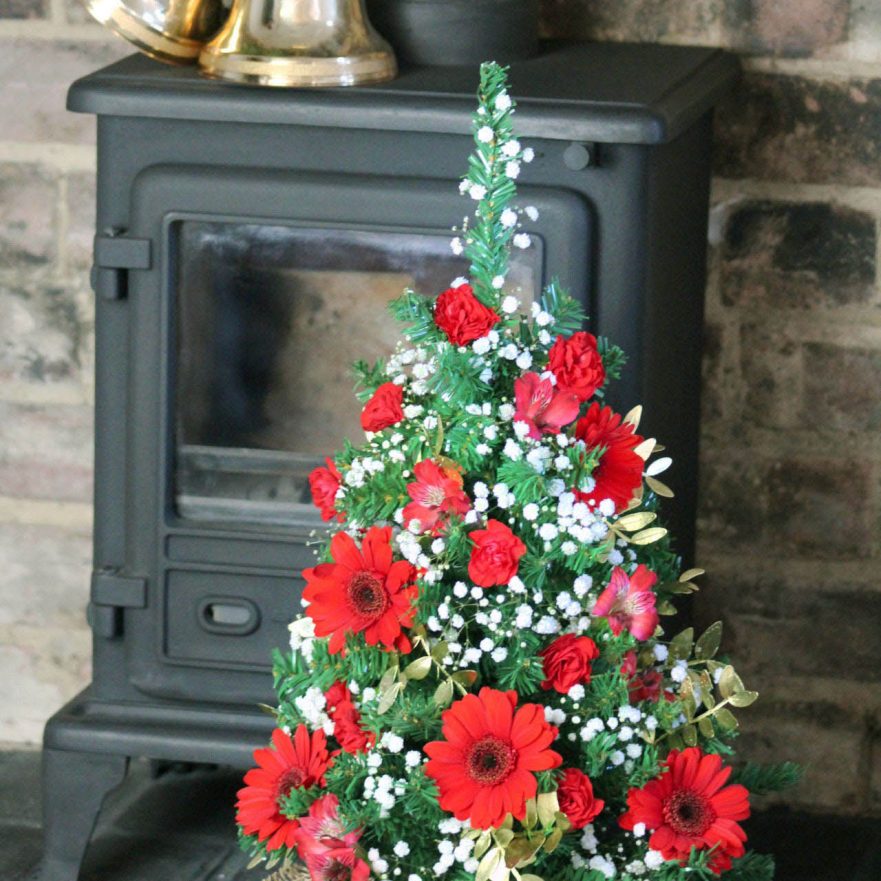 Christmas Tree Quiz 10 Trivia Questions and Answers (2023)