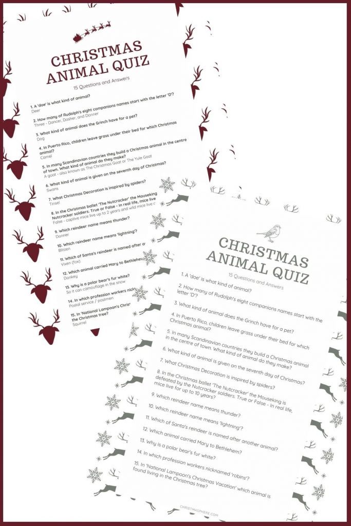 Christmas Animal Quiz Downloads